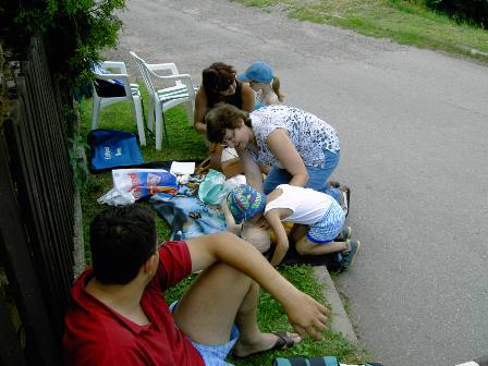 šipkovaná 2008 Zdravověda